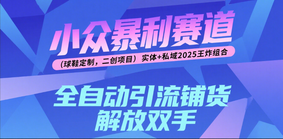楠—小众暴利赛道（球鞋定制，二创项目）实体+私域2025王炸组合网创吧-网创项目资源站-副业项目-创业项目-搞钱项目恒杨云站