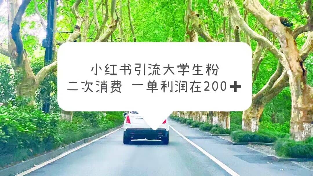 小红书引流大学生粉，变现项目，一单利润在200+（教程+资源）网创吧-网创项目资源站-副业项目-创业项目-搞钱项目恒杨云站