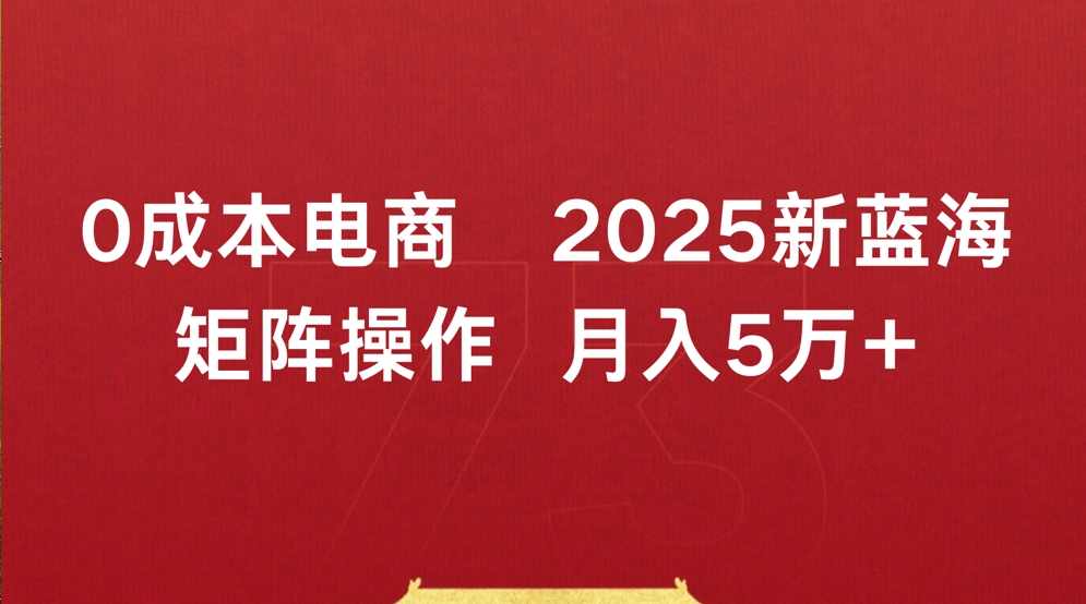 0成本电商2025新蓝海矩阵操作 月入5万+网创吧-网创项目资源站-副业项目-创业项目-搞钱项目恒杨云站