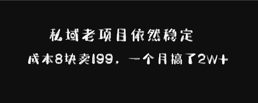 私域老项目依然稳定，成本8块卖199，一个月搞了2W+网创吧-网创项目资源站-副业项目-创业项目-搞钱项目恒杨云站