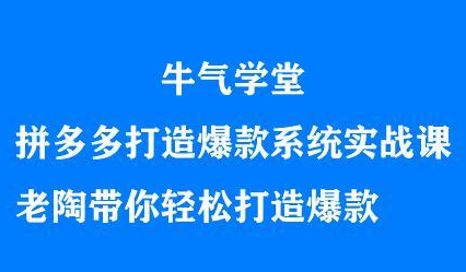 牛气学堂拼多多打造爆款系统实战课，老陶带你轻松打造爆款网创吧-网创项目资源站-副业项目-创业项目-搞钱项目恒杨云站
