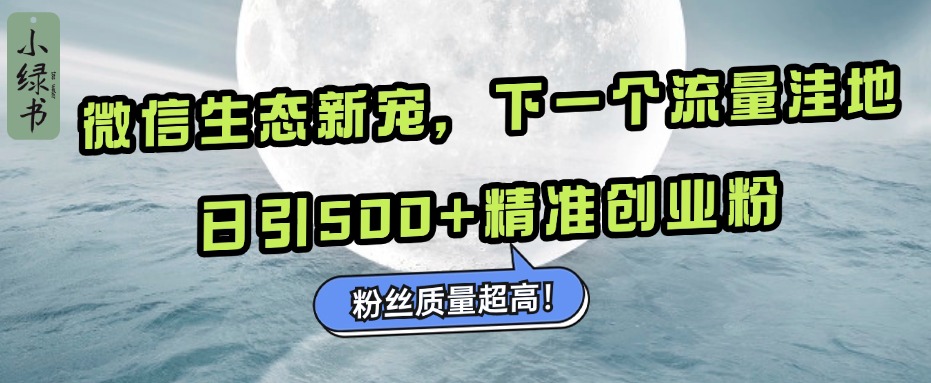 微信生态新宠小绿书：下一个流量洼地，粉丝质量超高，日引500+精准创业粉，网创吧-网创项目资源站-副业项目-创业项目-搞钱项目恒杨云站