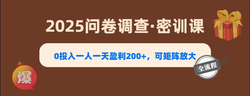 2025《问卷调查》0投入一人一天盈利200+,可矩阵放大网创吧-网创项目资源站-副业项目-创业项目-搞钱项目恒杨云站