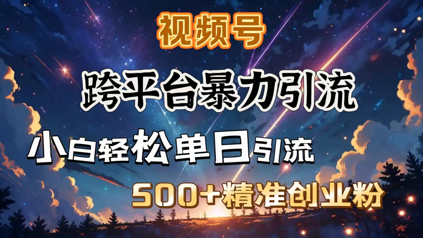 视频号跨平台暴力引流，小白轻松单日引流500＋精准创业粉网创吧-网创项目资源站-副业项目-创业项目-搞钱项目恒杨云站