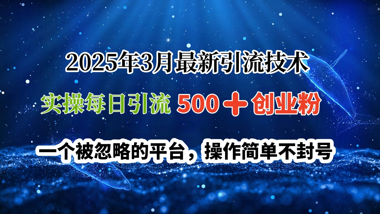 2025年3月最新引流技术，实操每日引流500➕创业粉，一个被忽略的平台，操作简单不封号网创吧-网创项目资源站-副业项目-创业项目-搞钱项目恒杨云站