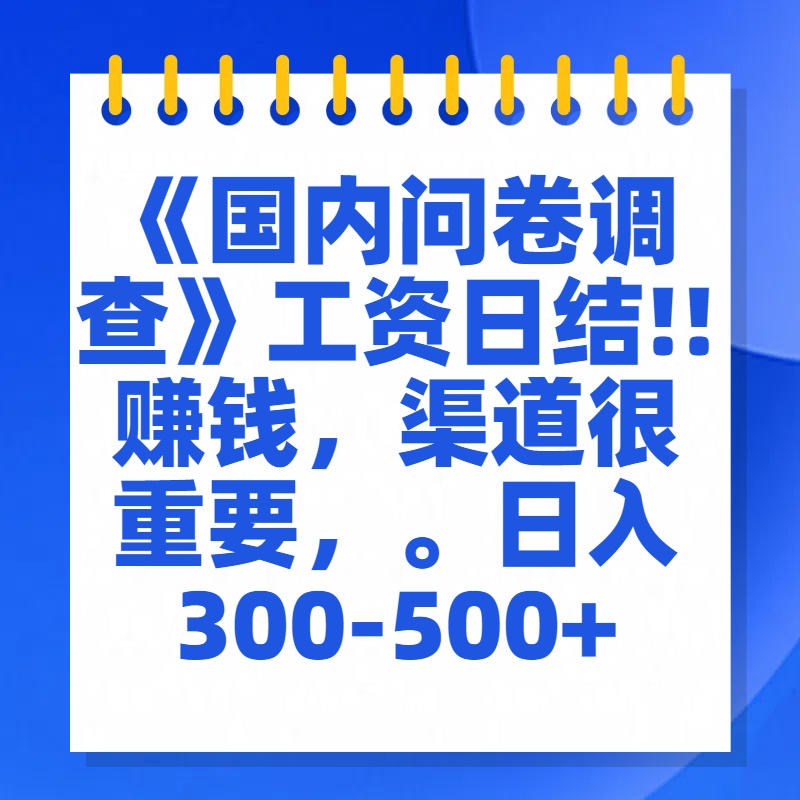 问卷调查答题，一个人在家也可以闷声发大财，小白一天2张，【揭秘】网创吧-网创项目资源站-副业项目-创业项目-搞钱项目恒杨云站