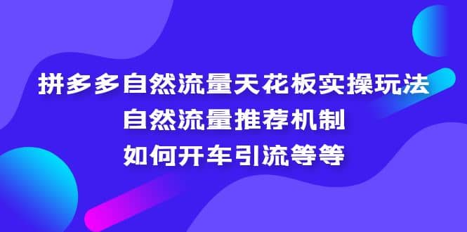 拼多多自然流量天花板实操玩法：自然流量推荐机制，如何开车引流等等网创吧-网创项目资源站-副业项目-创业项目-搞钱项目恒杨云站