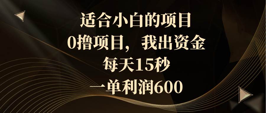 适合小白的项目，0撸项目，我出资金，每天15秒，一单利润600网创吧-网创项目资源站-副业项目-创业项目-搞钱项目恒杨云站