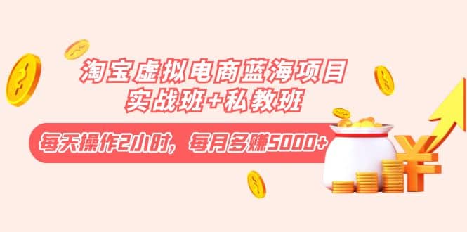 淘宝虚拟电商蓝海项目实战班+私教班网创吧-网创项目资源站-副业项目-创业项目-搞钱项目恒杨云站