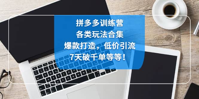 拼多多训练营：各玩法合集，爆款打造，低价引流，7天破千单等等网创吧-网创项目资源站-副业项目-创业项目-搞钱项目恒杨云站