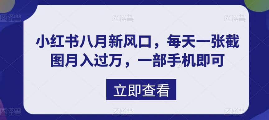 八月新风口，小红书虚拟项目一天收入1000+，实战揭秘网创吧-网创项目资源站-副业项目-创业项目-搞钱项目恒杨云站