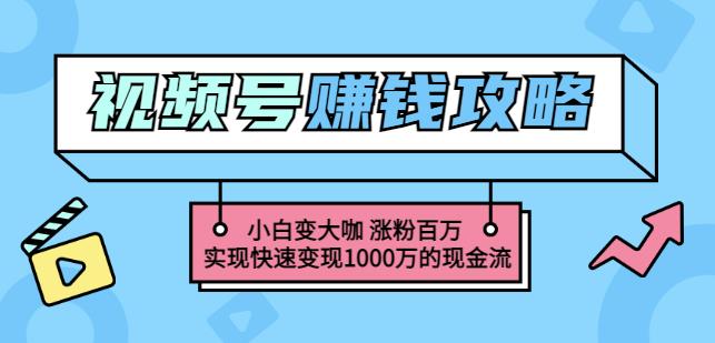 玩转微信视频号赚钱：小白变大咖涨粉百万实现快速变现1000万的现金流网创吧-网创项目资源站-副业项目-创业项目-搞钱项目恒杨云站