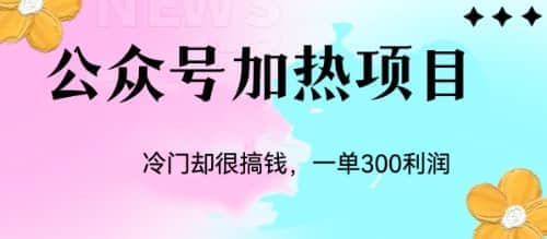 冷门公众号加热项目，一单利润300+网创吧-网创项目资源站-副业项目-创业项目-搞钱项目恒杨云站
