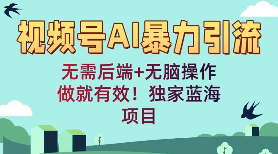 视频号AI暴力引流：无需后端+无脑操作，做就有效！独家蓝海项目网创吧-网创项目资源站-副业项目-创业项目-搞钱项目恒杨云站