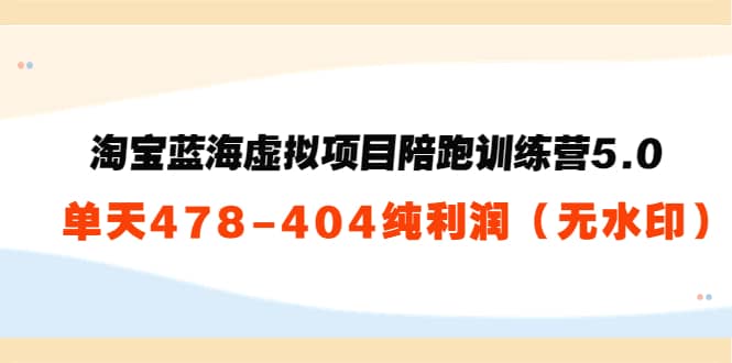 淘宝蓝海虚拟项目陪跑训练营5.0：单天478纯利润（无水印）网创吧-网创项目资源站-副业项目-创业项目-搞钱项目恒杨云站