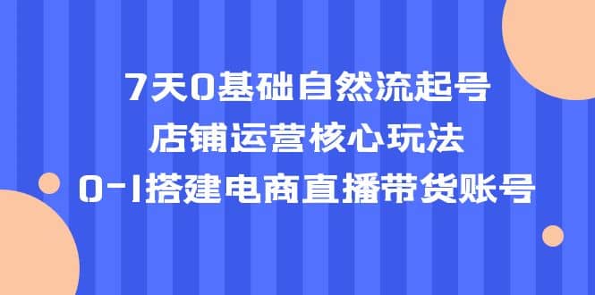 7天0基础自然流起号，店铺运营核心玩法，0-1搭建电商直播带货账号网创吧-网创项目资源站-副业项目-创业项目-搞钱项目恒杨云站