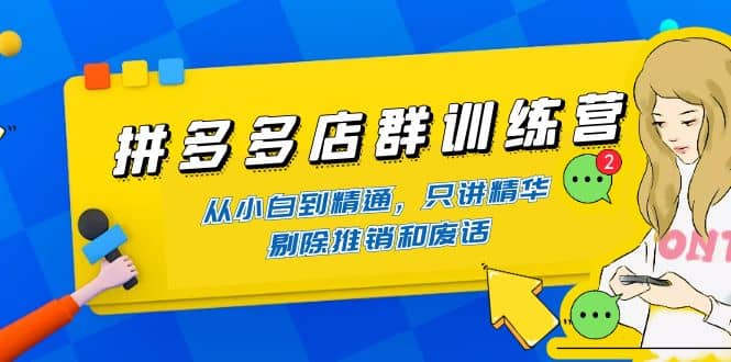 拼多多店群训练营：从小白到精通，只讲精华，剔除推销和废话网创吧-网创项目资源站-副业项目-创业项目-搞钱项目恒杨云站