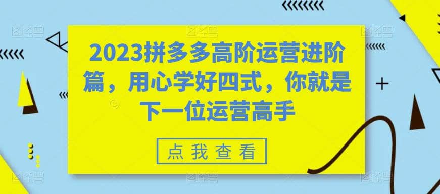 2023拼多多高阶运营进阶篇，用心学好四式，你就是下一位运营高手网创吧-网创项目资源站-副业项目-创业项目-搞钱项目恒杨云站