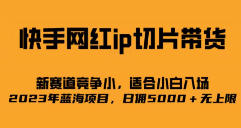 快手网红ip切片新赛道，竞争小事，适合小白 2023蓝海项目网创吧-网创项目资源站-副业项目-创业项目-搞钱项目恒杨云站