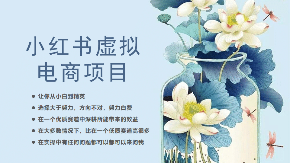小红书虚拟电商从0到1，让你从小白到精英（20节实操课程）网创吧-网创项目资源站-副业项目-创业项目-搞钱项目恒杨云站