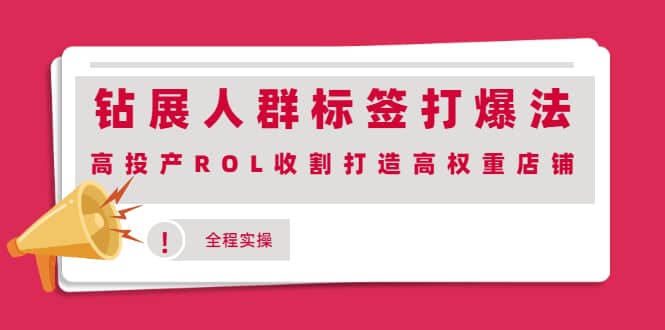 钻展人群标签打爆法，高投产ROL收割打造高权重店铺(全程实操)网创吧-网创项目资源站-副业项目-创业项目-搞钱项目恒杨云站