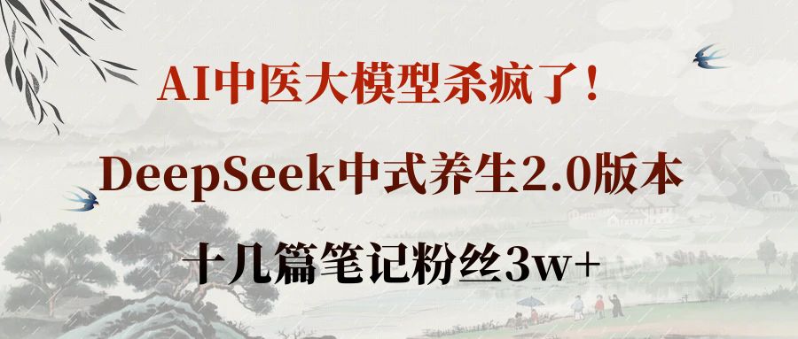 AI中医大模型杀疯了！DeepSeek中式养生2.0版本，十几篇笔记粉丝3w+网创吧-网创项目资源站-副业项目-创业项目-搞钱项目恒杨云站