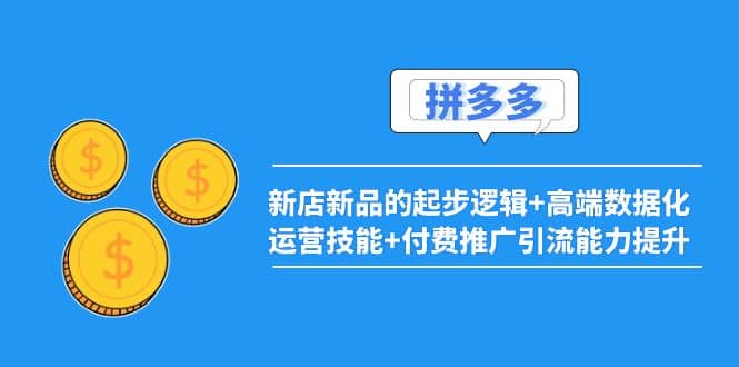 2022拼多多：新店新品的起步逻辑+高端数据化运营技能+付费推广引流能力提升网创吧-网创项目资源站-副业项目-创业项目-搞钱项目恒杨云站
