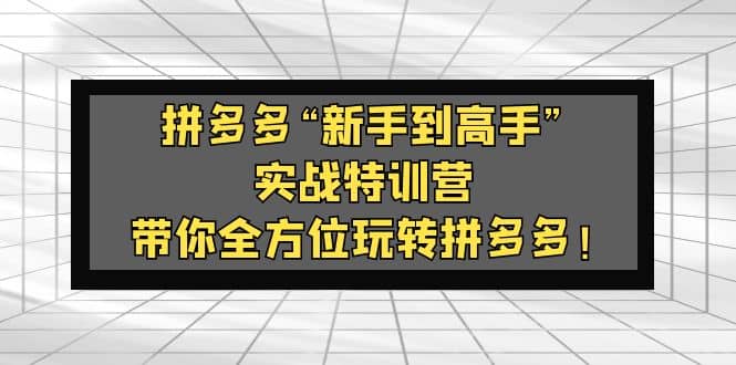 拼多多“新手到高手”实战特训营：带你全方位玩转拼多多网创吧-网创项目资源站-副业项目-创业项目-搞钱项目恒杨云站