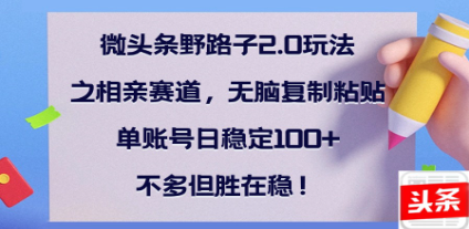 全网首发微头条野路子2.0玩法之相亲赛道，无脑搬砖复制粘贴，单账号日稳定300+保姆级教程网创吧-网创项目资源站-副业项目-创业项目-搞钱项目恒杨云站