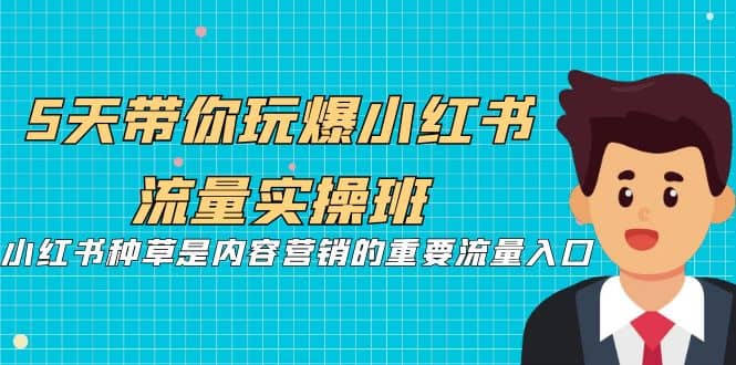 5天带你玩爆小红书流量实操班，小红书种草是内容营销的重要流量入口网创吧-网创项目资源站-副业项目-创业项目-搞钱项目恒杨云站