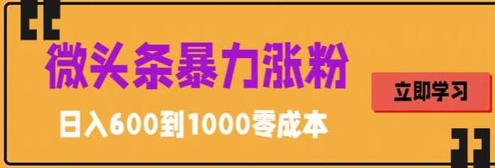 微头条暴力涨粉技巧搬运文案就能涨几万粉丝，简单0成本，日赚600网创吧-网创项目资源站-副业项目-创业项目-搞钱项目恒杨云站