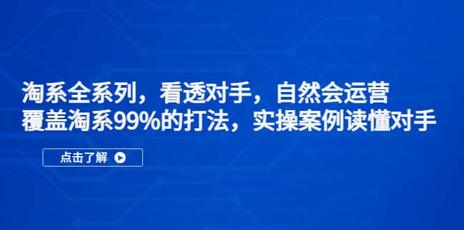 淘系全系列，看透对手，自然会运营，覆盖淘系99%·打法，实操案例读懂对手网创吧-网创项目资源站-副业项目-创业项目-搞钱项目恒杨云站