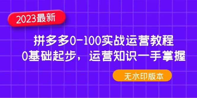 2023拼多多0-100实战运营教程，0基础起步，运营知识一手掌握（无水印）网创吧-网创项目资源站-副业项目-创业项目-搞钱项目恒杨云站