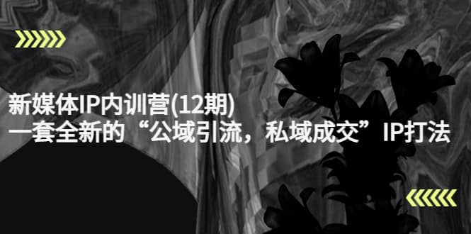 新媒体IP内训营(12期)，一套全新的“公域引流，私域成交”IP打法，直接带走网创吧-网创项目资源站-副业项目-创业项目-搞钱项目恒杨云站