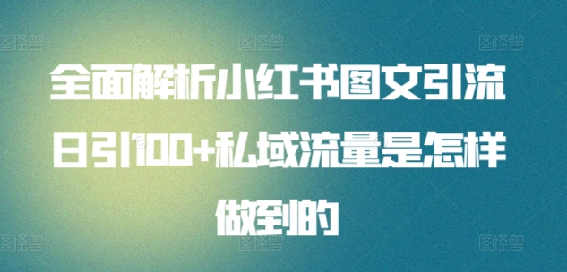 日引流100私域流量小红书图文是怎样做到的全面解析网创吧-网创项目资源站-副业项目-创业项目-搞钱项目恒杨云站