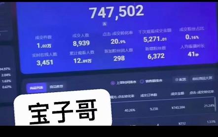 宝子哥无人直播，半无人直播，Obs+伴侣玩法，快速打标签+养鱼网创吧-网创项目资源站-副业项目-创业项目-搞钱项目恒杨云站