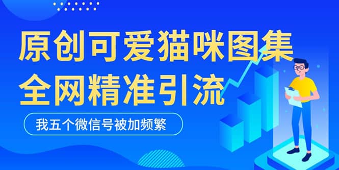 黑科技纯原创可爱猫咪图片，全网精准引流，实操5个VX号被加频繁网创吧-网创项目资源站-副业项目-创业项目-搞钱项目恒杨云站