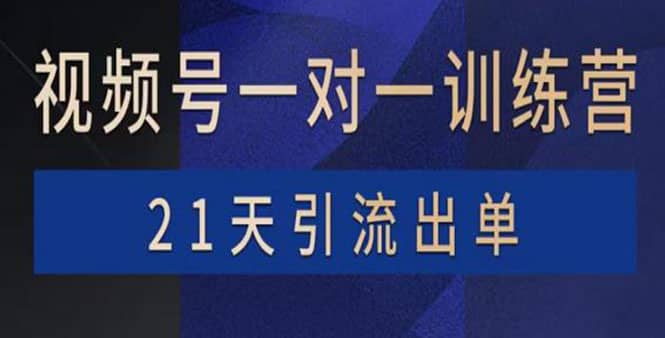 视频号训练营：带货，涨粉，直播，游戏，四大变现新方向，21天引流出单网创吧-网创项目资源站-副业项目-创业项目-搞钱项目恒杨云站