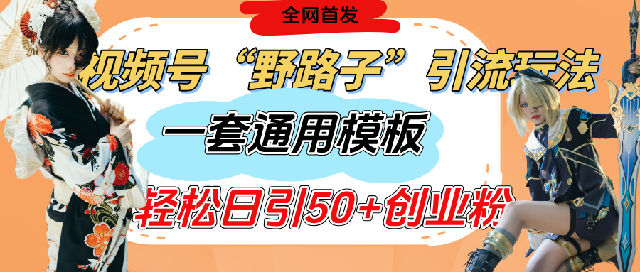 视频号“野路子”玩法，评论区疯狂截流，一套模板单日单号引流50+创业粉网创吧-网创项目资源站-副业项目-创业项目-搞钱项目恒杨云站