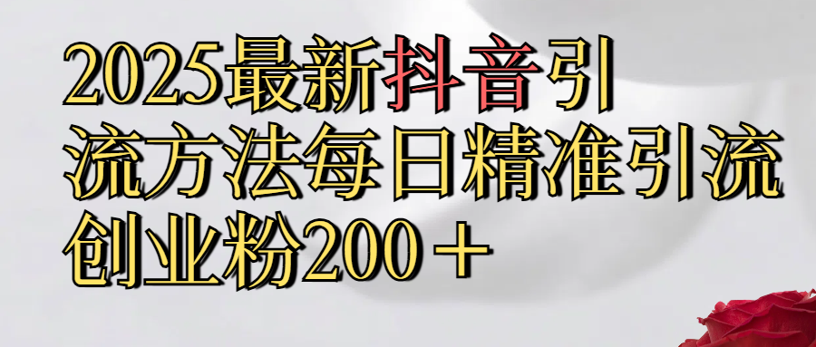 2025最新,抖音引流,方法每日精准引流创业粉300＋网创吧-网创项目资源站-副业项目-创业项目-搞钱项目恒杨云站