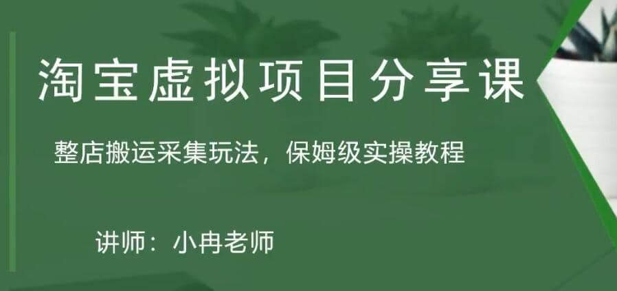 淘宝虚拟整店搬运采集玩法分享课：整店搬运采集玩法，保姆级实操教程网创吧-网创项目资源站-副业项目-创业项目-搞钱项目恒杨云站