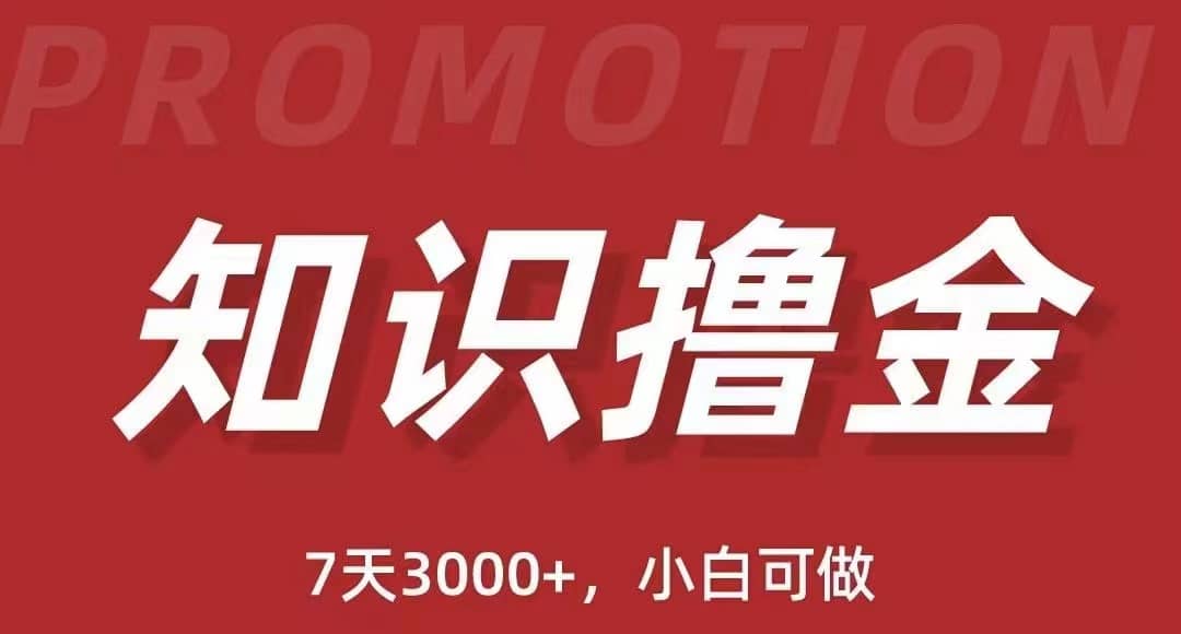 抖音知识撸金项目：执行力强当天见收益(教程+资料)网创吧-网创项目资源站-副业项目-创业项目-搞钱项目恒杨云站