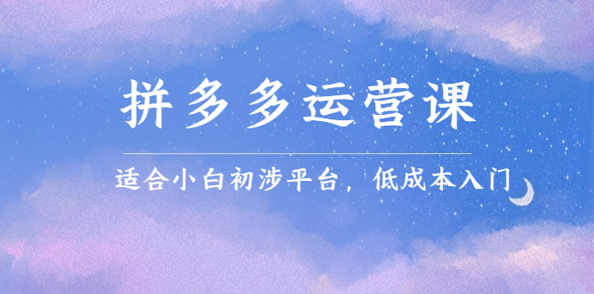 拼多多运营课，适合小白初涉平台，低成本入门网创吧-网创项目资源站-副业项目-创业项目-搞钱项目恒杨云站