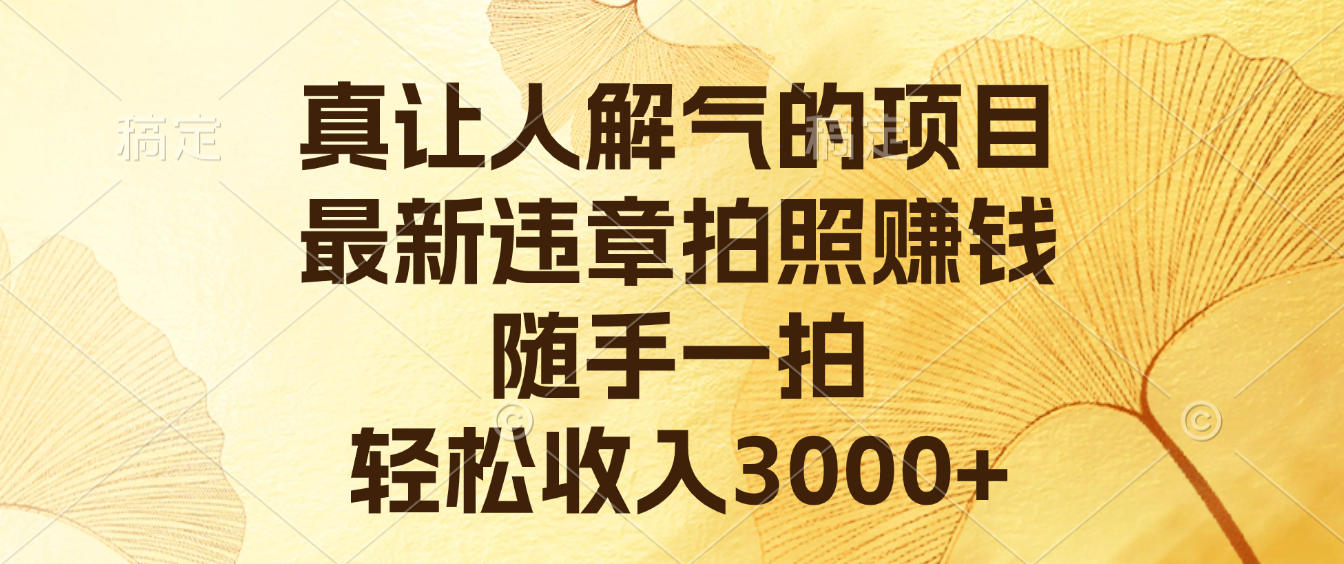 真让人解气的项目，最新违章拍照赚钱，随手一拍，轻松收入3000+网创吧-网创项目资源站-副业项目-创业项目-搞钱项目恒杨云站