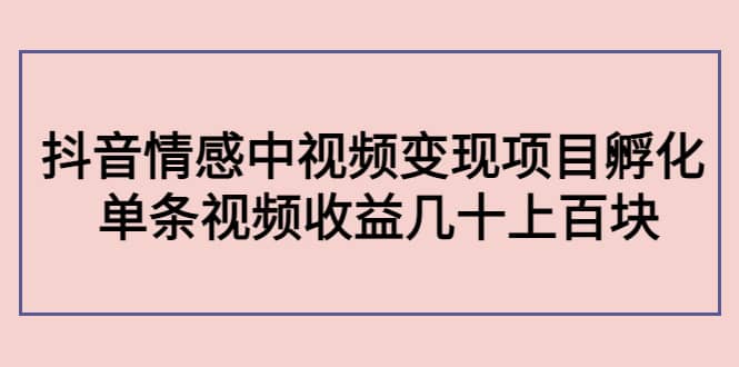 抖音情感中视频变现项目孵化网创吧-网创项目资源站-副业项目-创业项目-搞钱项目恒杨云站