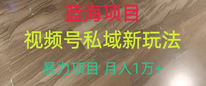 蓝海项目，视频号私域新玩法，暴力项目月入1万+【揭秘】网创吧-网创项目资源站-副业项目-创业项目-搞钱项目恒杨云站
