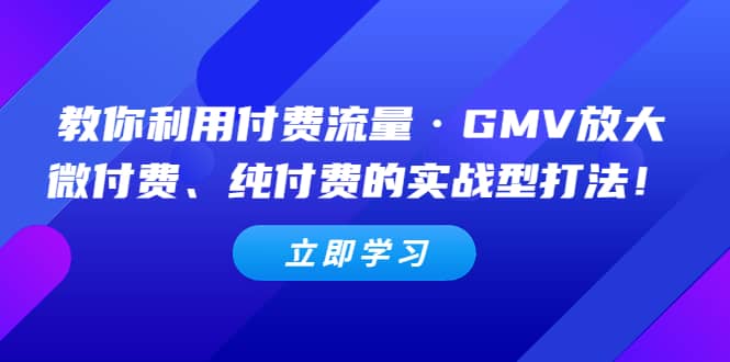 教你利用付费流量·GMV放大，微付费、纯付费的实战型打法网创吧-网创项目资源站-副业项目-创业项目-搞钱项目恒杨云站