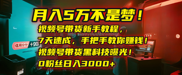 月入5万不是梦！视频号带货新手教程，7天速成，手把手教你赚钱！视频号带货黑科技曝光！0粉丝日入3000+网创吧-网创项目资源站-副业项目-创业项目-搞钱项目恒杨云站