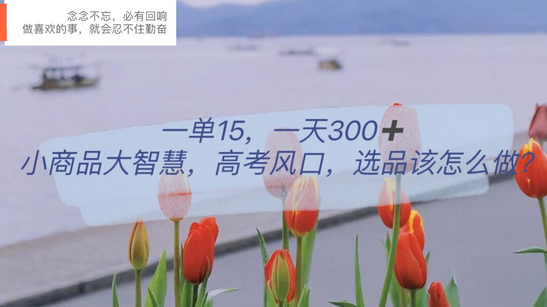一单15，一天300+，小商品大智慧，高考风口，选品该怎么布局网创吧-网创项目资源站-副业项目-创业项目-搞钱项目恒杨云站
