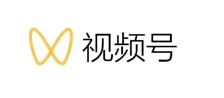 最新视频号解读，视频号真相+变现玩法【视频课程】网创吧-网创项目资源站-副业项目-创业项目-搞钱项目恒杨云站